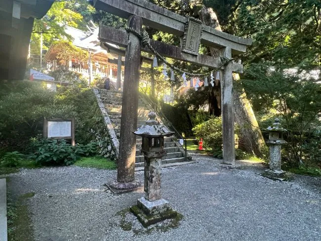 『玉置神社』神様から呼ばれた人しか行けない神社
