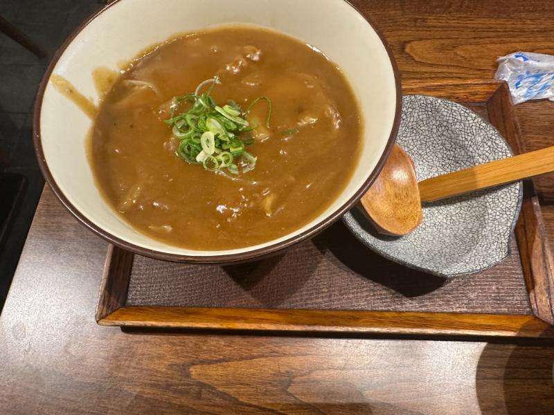伝統カレーうどん